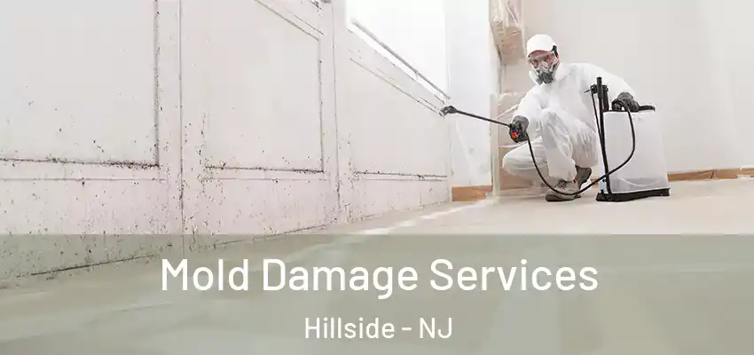 Mold Damage Services Hillside - NJ
