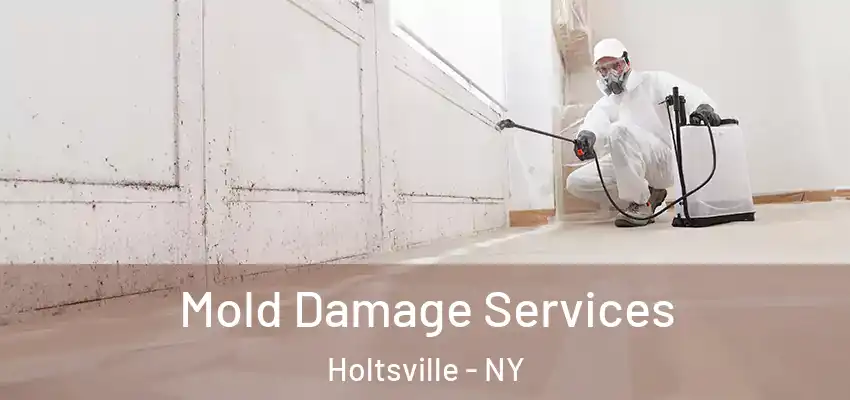 Mold Damage Services Holtsville - NY