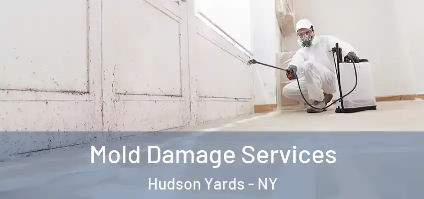  Mold Damage Services Hudson Yards - NY