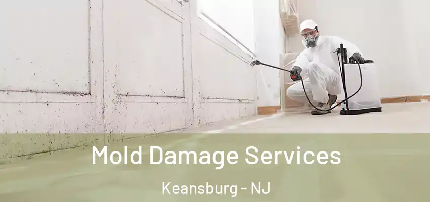  Mold Damage Services Keansburg - NJ