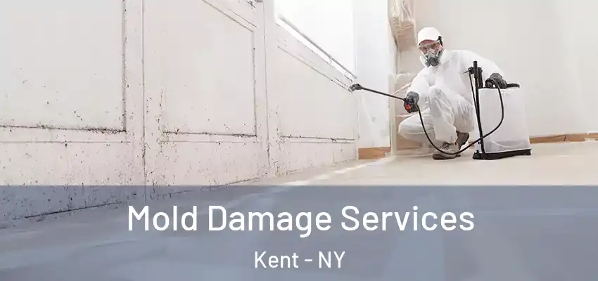 Mold Damage Services Kent - NY