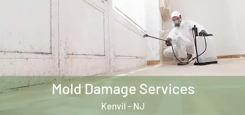 Mold Damage Services Kenvil - NJ