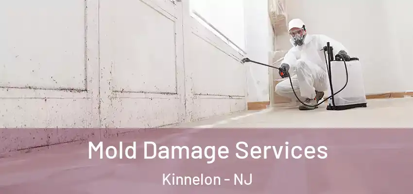  Mold Damage Services Kinnelon - NJ