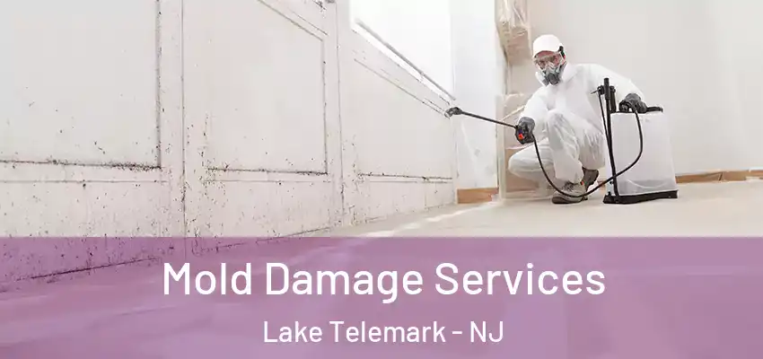  Mold Damage Services Lake Telemark - NJ