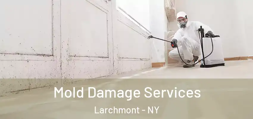  Mold Damage Services Larchmont - NY