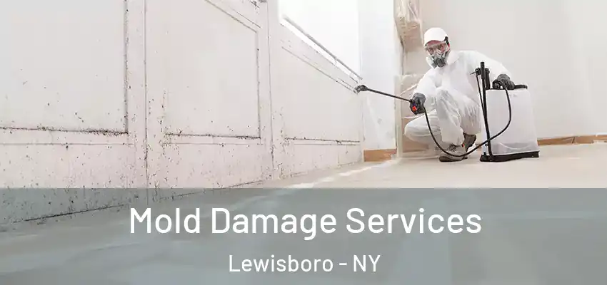  Mold Damage Services Lewisboro - NY