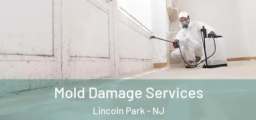  Mold Damage Services Lincoln Park - NJ