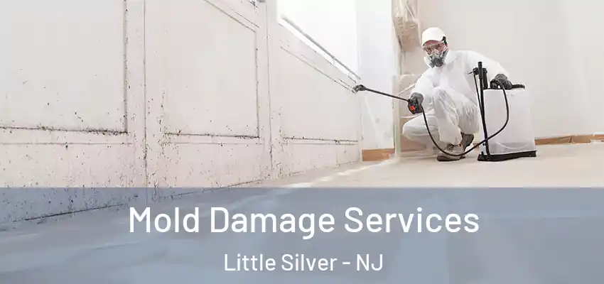 Mold Damage Services Little Silver - NJ