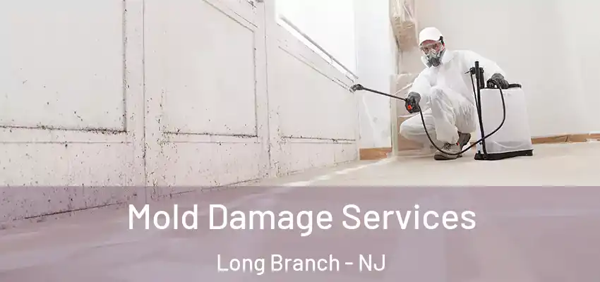Mold Damage Services Long Branch - NJ