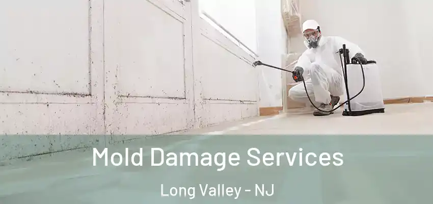 Mold Damage Services Long Valley - NJ