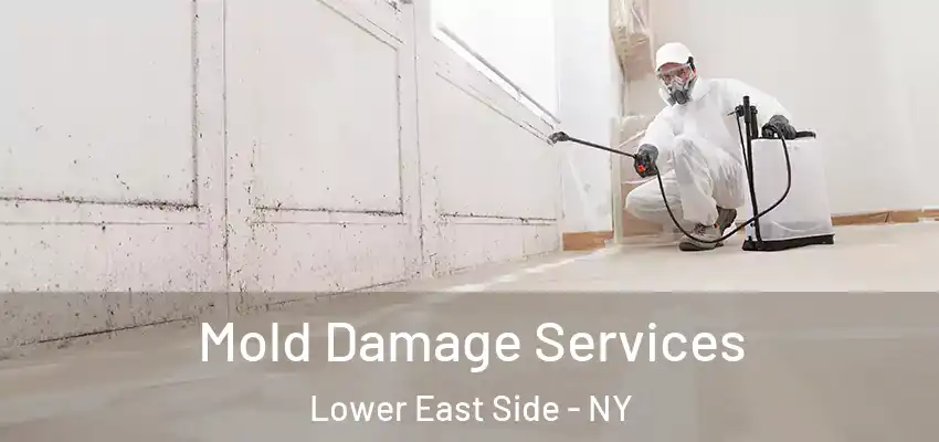  Mold Damage Services Lower East Side - NY
