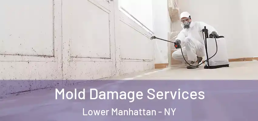 Mold Damage Services Lower Manhattan - NY