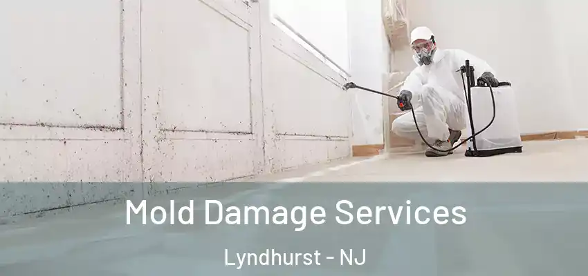 Mold Damage Services Lyndhurst - NJ