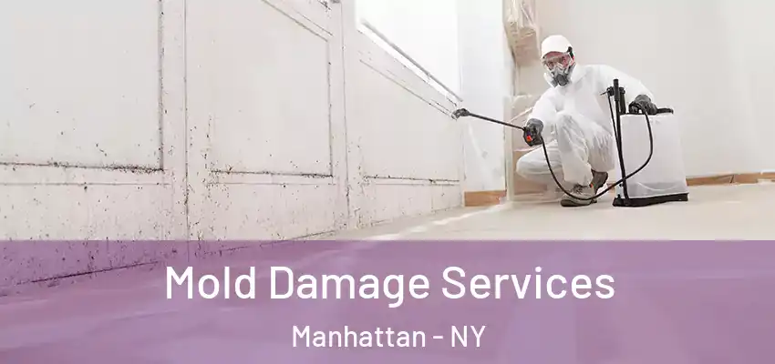 Mold Damage Services Manhattan - NY