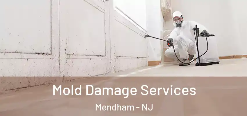 Mold Damage Services Mendham - NJ
