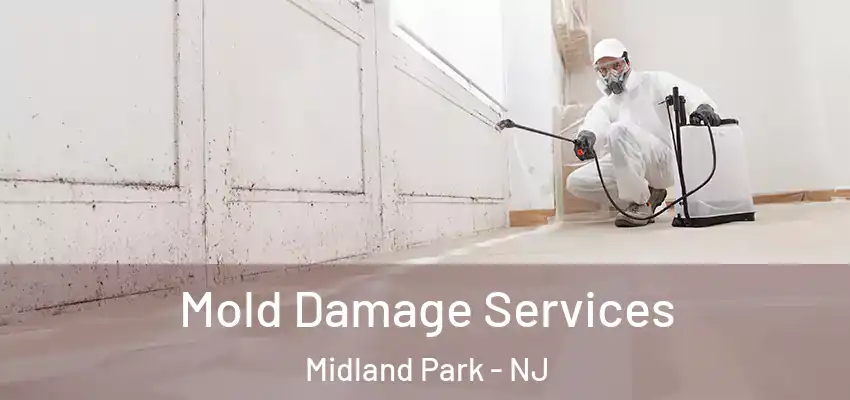 Mold Damage Services Midland Park - NJ