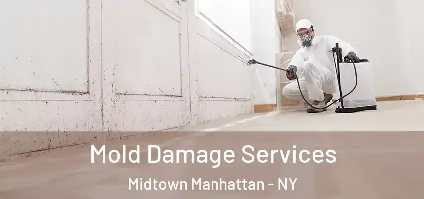  Mold Damage Services Midtown Manhattan - NY