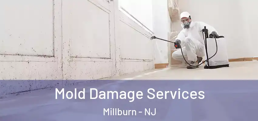 Mold Damage Services Millburn - NJ