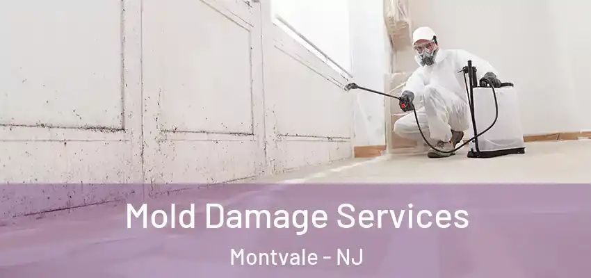 Mold Damage Services Montvale - NJ