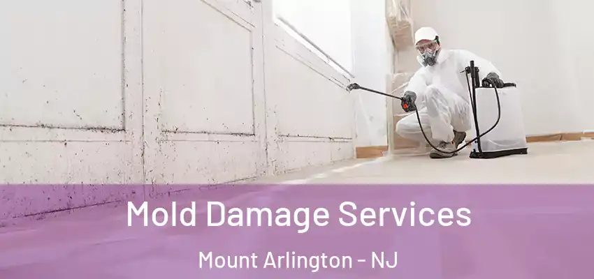  Mold Damage Services Mount Arlington - NJ