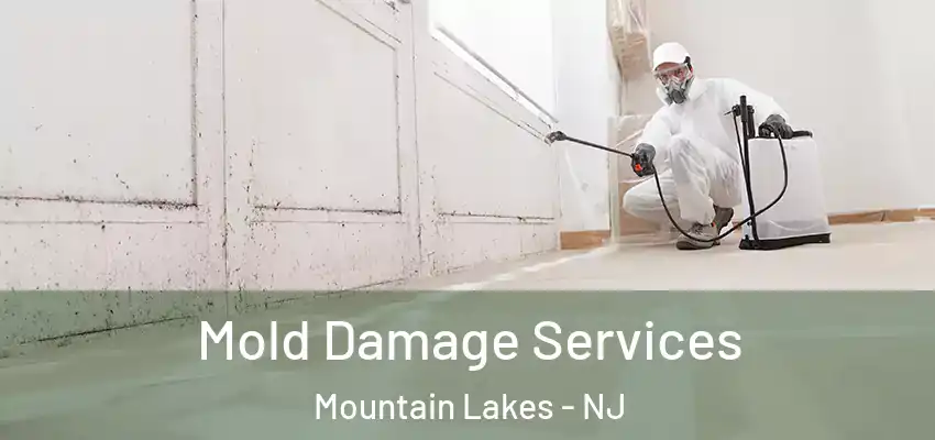 Mold Damage Services Mountain Lakes - NJ