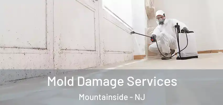 Mold Damage Services Mountainside - NJ
