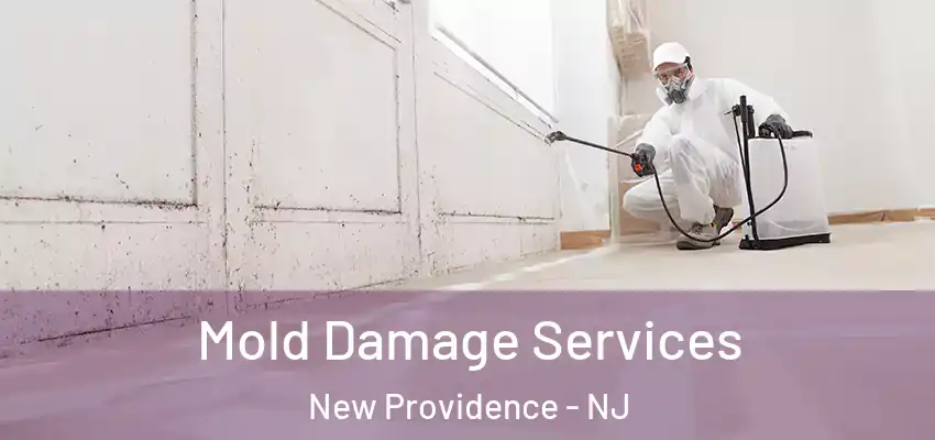 Mold Damage Services New Providence - NJ