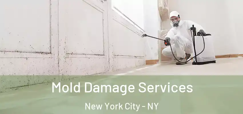 Mold Damage Services New York City - NY