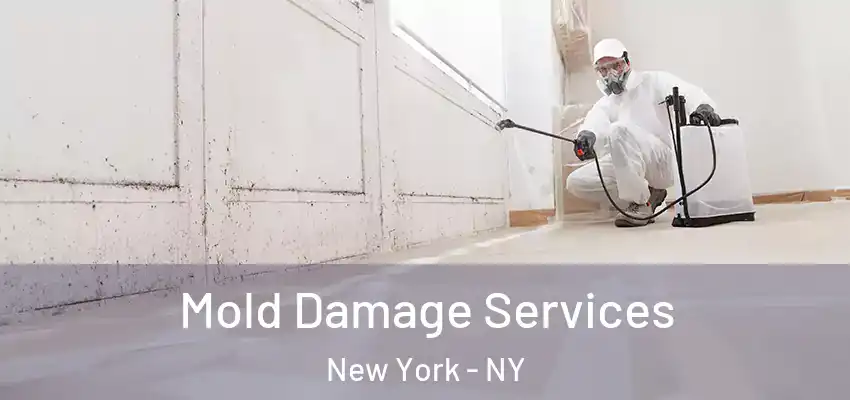Mold Damage Services New York - NY
