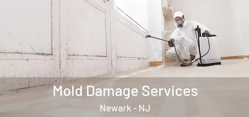 Mold Damage Services Newark - NJ