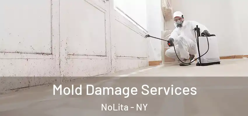 Mold Damage Services NoLita - NY