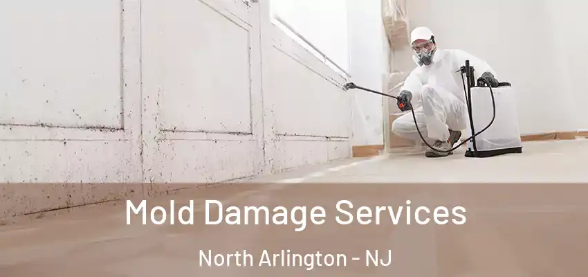 Mold Damage Services North Arlington - NJ