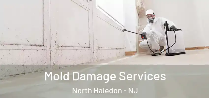 Mold Damage Services North Haledon - NJ