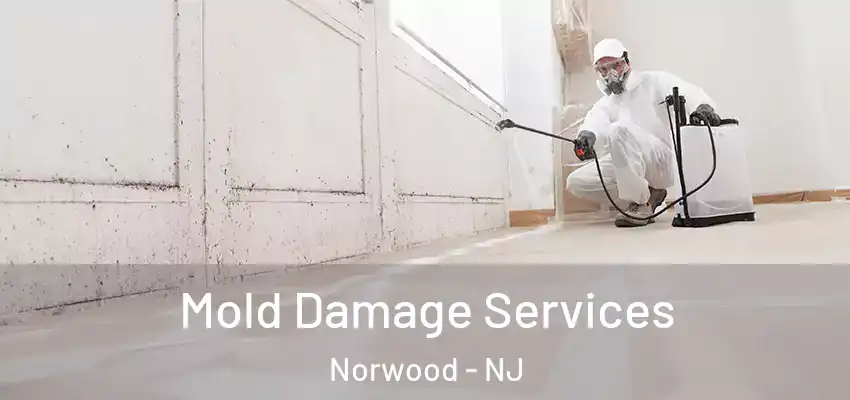  Mold Damage Services Norwood - NJ