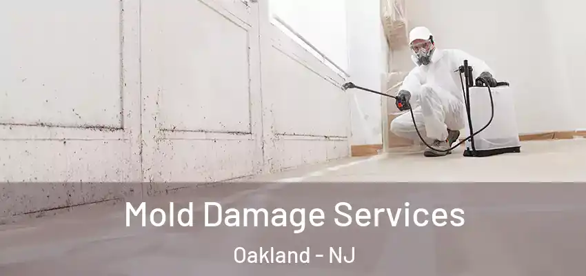 Mold Damage Services Oakland - NJ