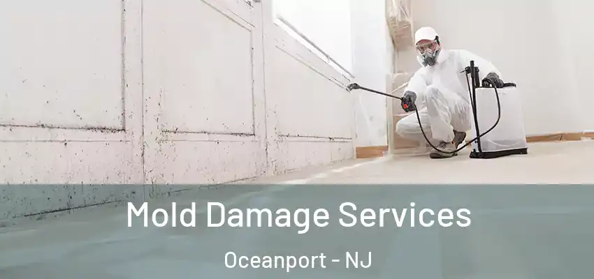 Mold Damage Services Oceanport - NJ