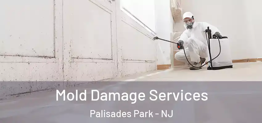 Mold Damage Services Palisades Park - NJ