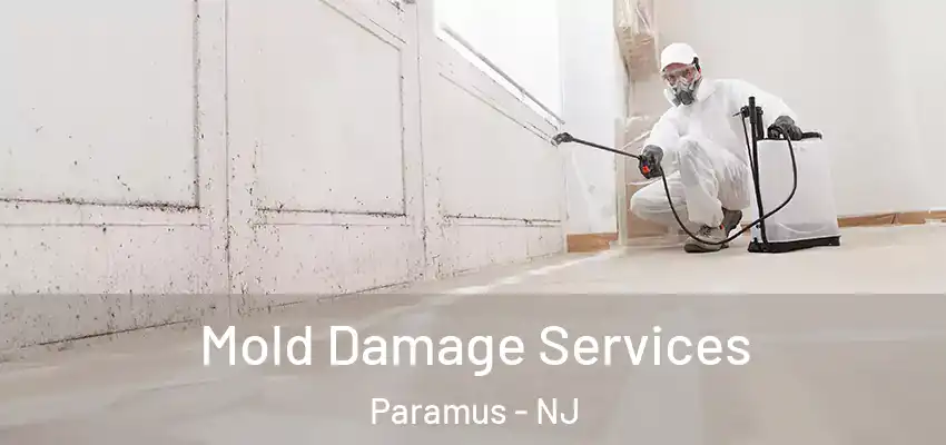 Mold Damage Services Paramus - NJ