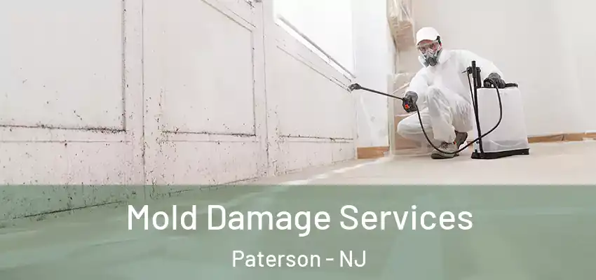 Mold Damage Services Paterson - NJ