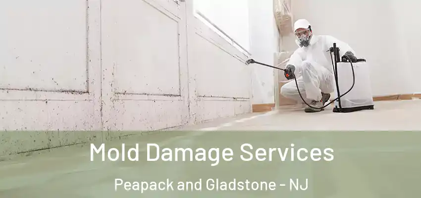  Mold Damage Services Peapack and Gladstone - NJ