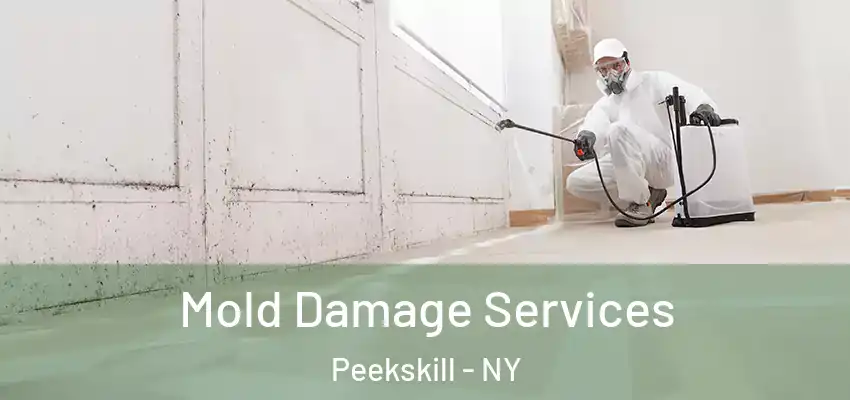 Mold Damage Services Peekskill - NY