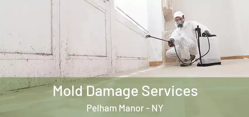 Mold Damage Services Pelham Manor - NY
