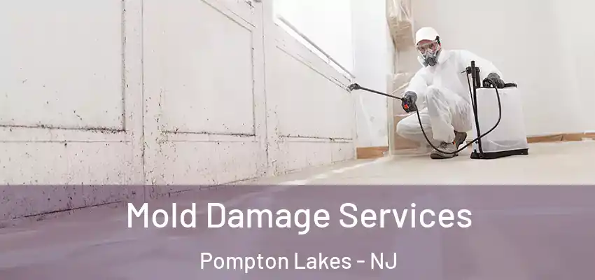 Mold Damage Services Pompton Lakes - NJ