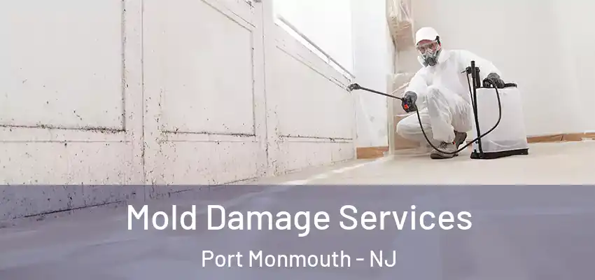 Mold Damage Services Port Monmouth - NJ