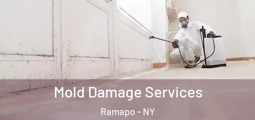 Mold Damage Services Ramapo - NY