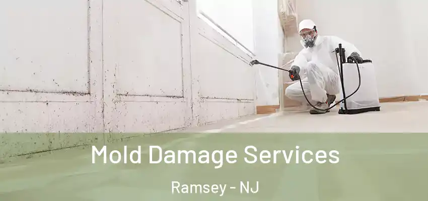 Mold Damage Services Ramsey - NJ