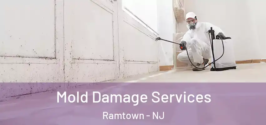 Mold Damage Services Ramtown - NJ
