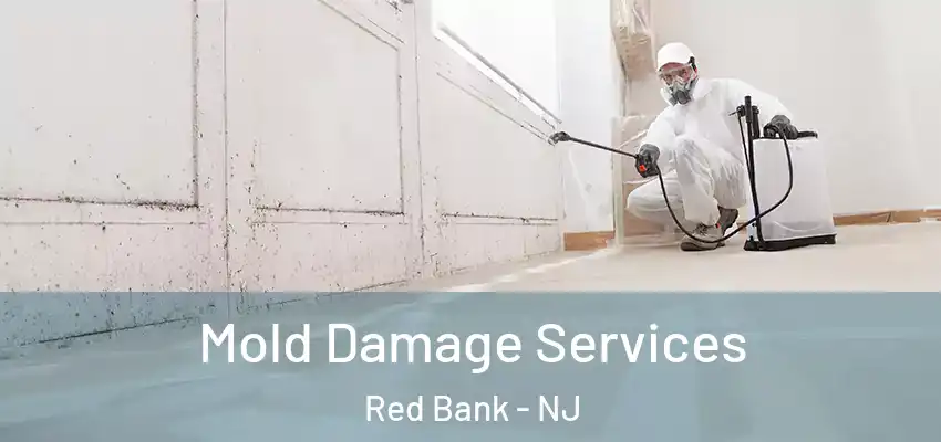 Mold Damage Services Red Bank - NJ