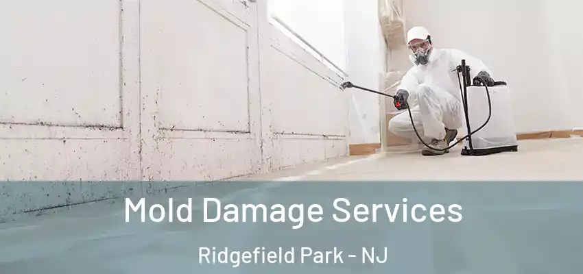 Mold Damage Services Ridgefield Park - NJ