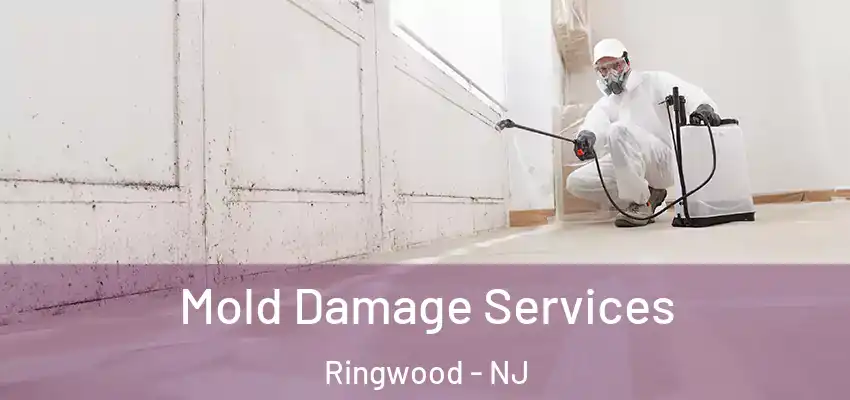 Mold Damage Services Ringwood - NJ